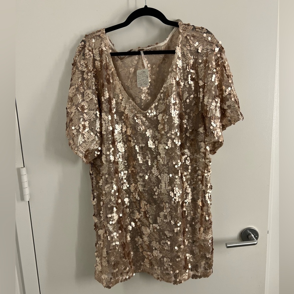 Never Worn, Free People, Sheer Sequin mini dress